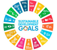 The United Nations' 17 Sustainable Development Goals (SDGs)Picture